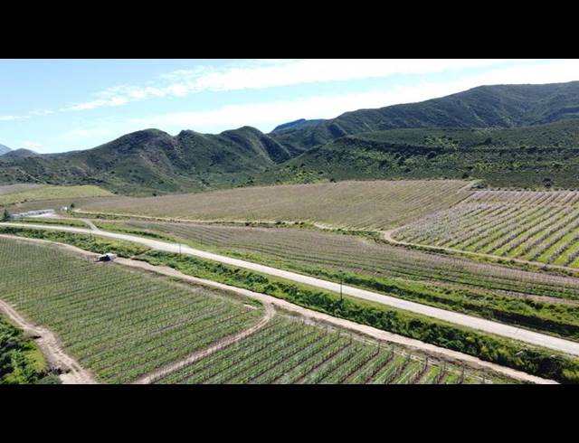 FARM FOR SALE IN MONTAGU